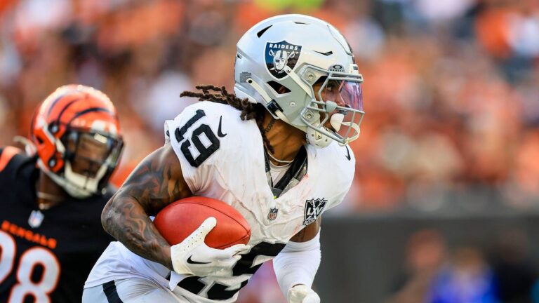 Texans Host Former Raiders WR for Workout Ahead of Training Camp