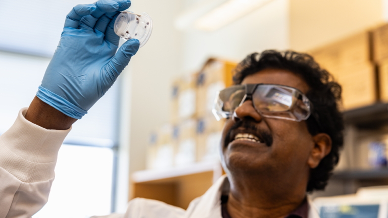 Mizzou innovation speeds up detection of deadly tick Mizzou innovation speeds up detection of deadly tick