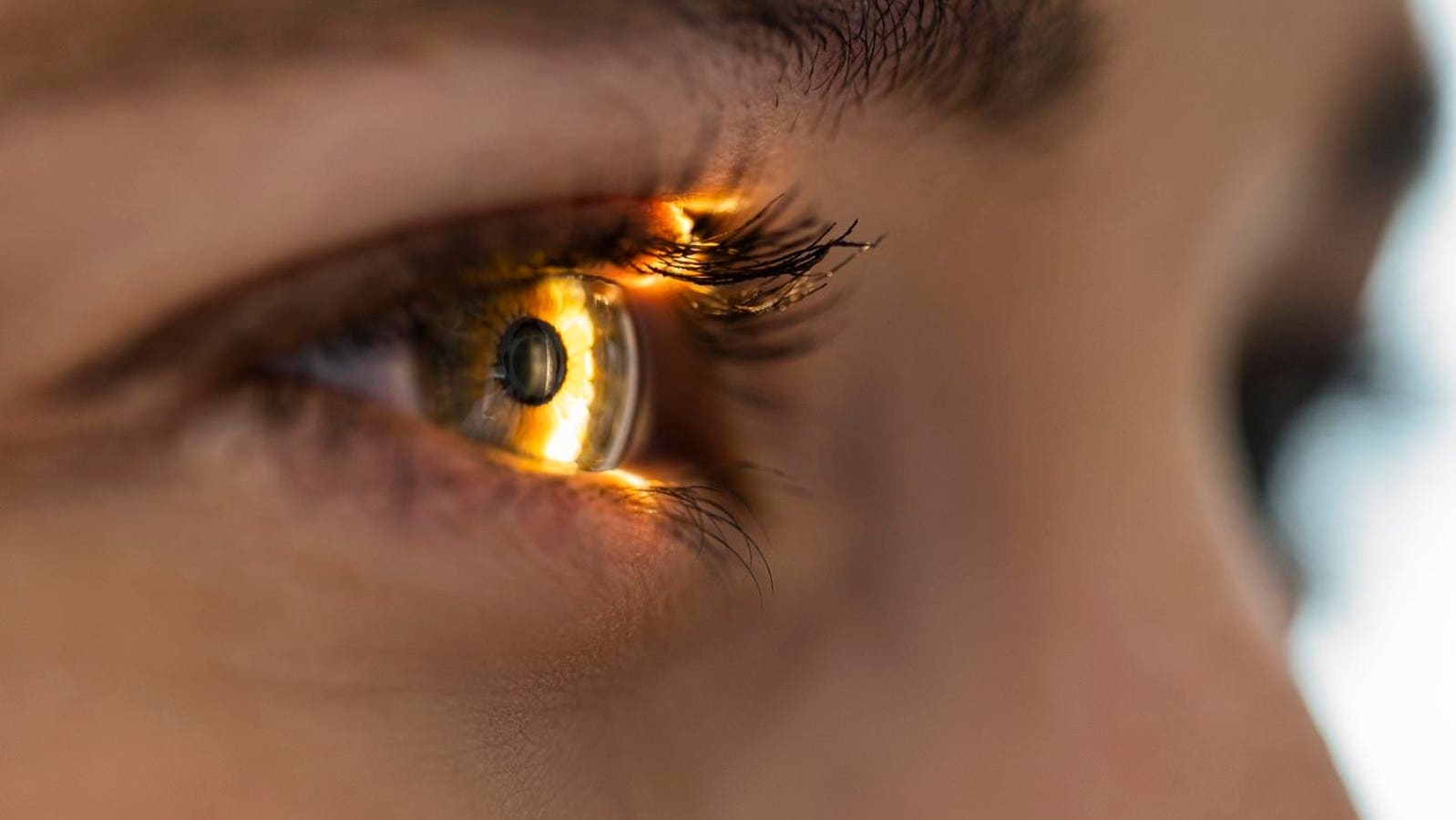 The Science of Tetrachromacy: Why Some Women Perceive 100 Million Colors