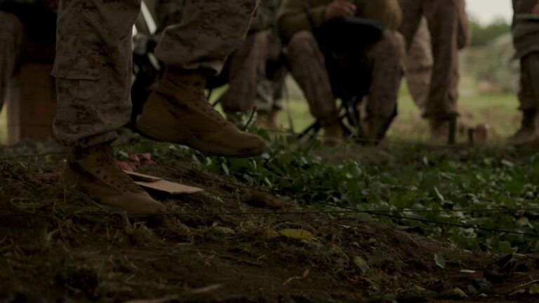 U.S. Marines, allied forces conduct combined arms live fire exercise during Sea Breeze 26 in Romania U.S. Marines, allied forces conduct combined arms live fire exercise during Sea Breeze 26 in Romania