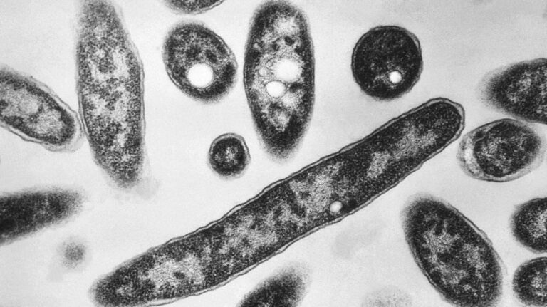 Suffolk Supreme Court cooling tower tests positive for bacteria that causes Legionnaires' disease, but officials say there's no threat to public