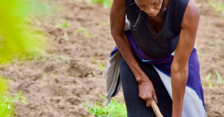 Action Against Hunger Statement in Response to the State of Food Security and Nutrition in the World Report Action Against Hunger Statement in Response to the State of Food Security and Nutrition in the World Report