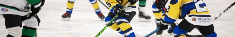 Young kids play hockey.