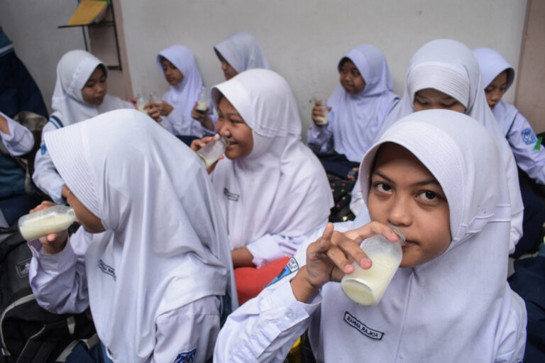 Southeast Asia must make healthy diets affordable - Academia