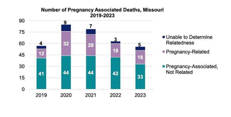 Report: All pregnancy-related deaths in Missouri tied to mental health were preventable | Jefferson City News Report: All pregnancy-related deaths in Missouri tied to mental health were preventable | Jefferson City News