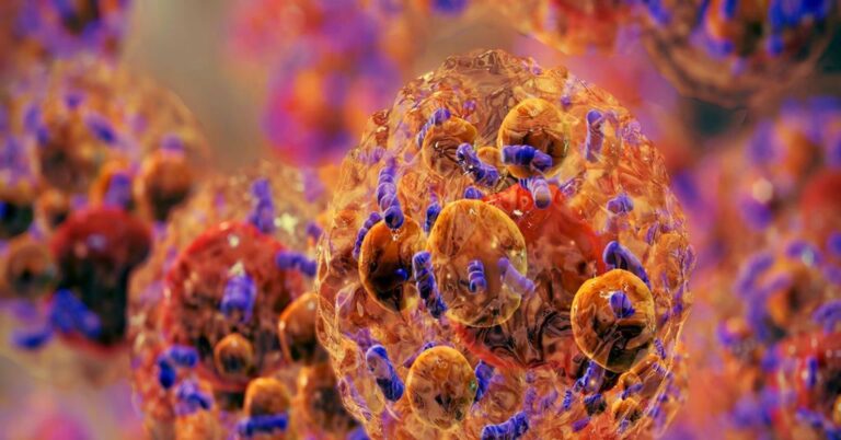 MRC and BHF invest in new £72m UK Obesity Research Institute MRC and BHF invest in new £72m UK Obesity Research Institute