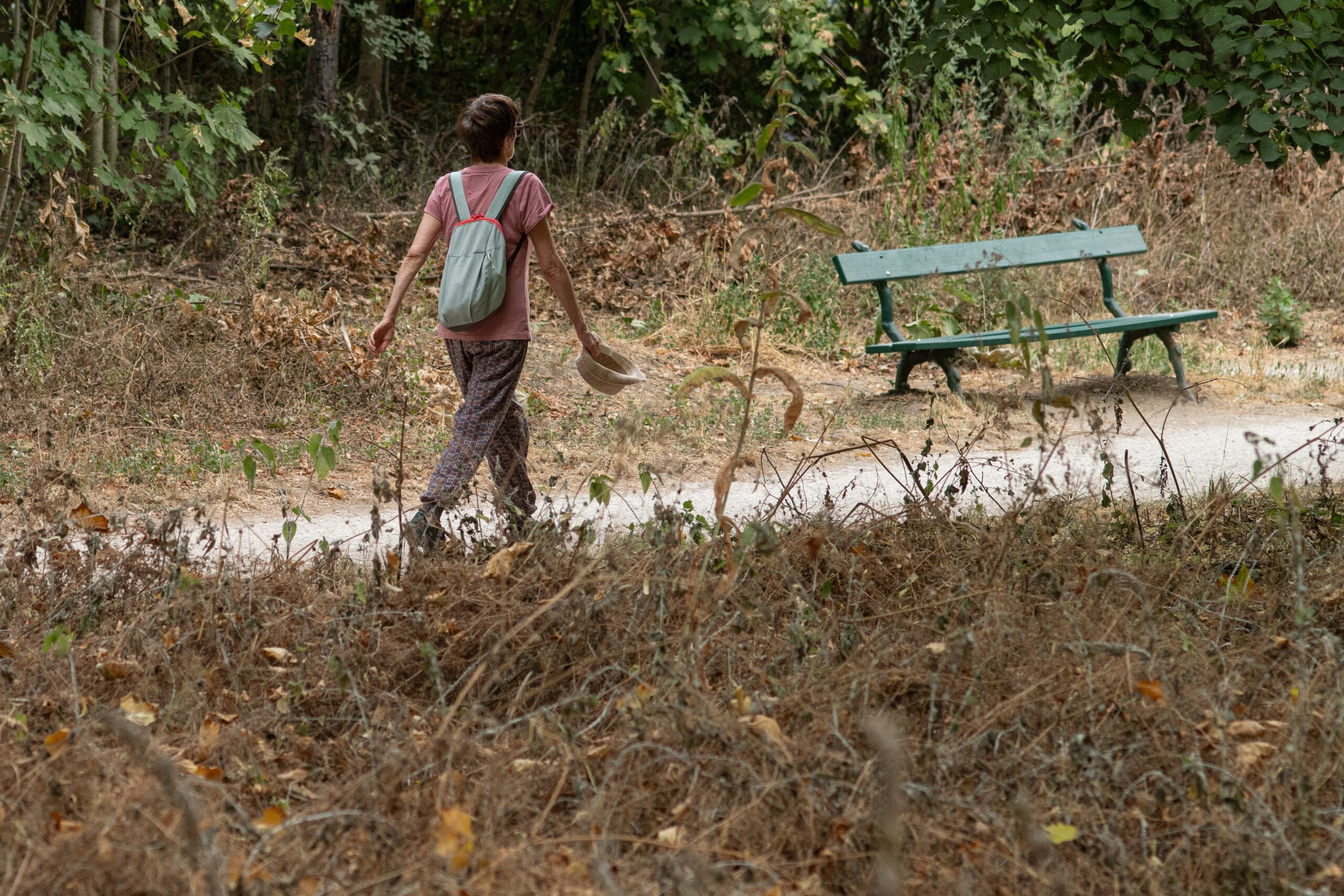 The quality of a walk is more important than the frequency, experts say