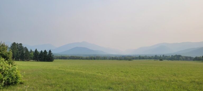 Statewide air quality health advisory issued for Thursday