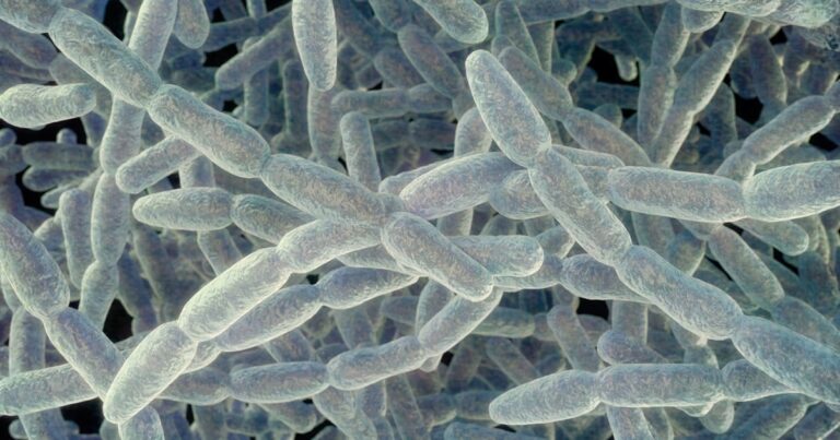 7th death confirmed in Manhattan Legionnaires’ outbreak, matching total from 2025 outbreak