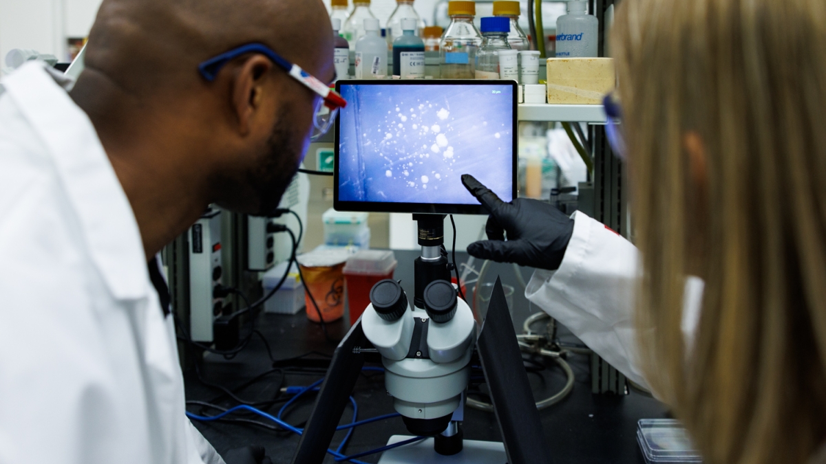 two researchers in a lab examine a bacteria sample on a digital microscope screen