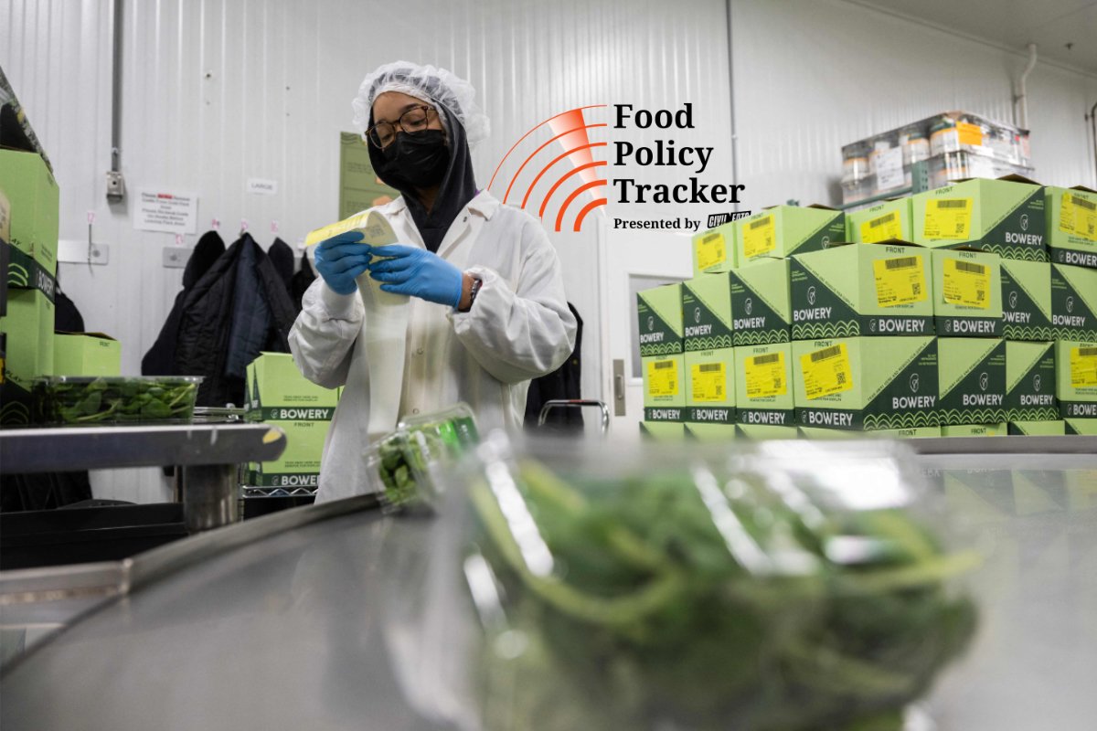 An employee checks packaged leafy greens before they are boxed at a Bowery farm in Nottingham, Maryland on April 14, 2023.(Photo credit: Andrew Caballero-Reynolds, Getty Images)