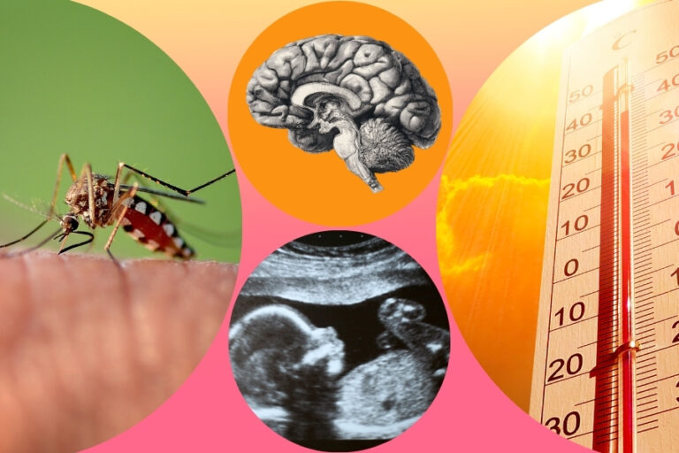 How worried should you be about West Nile Virus?