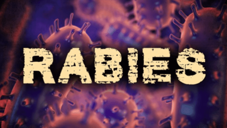 Rabid fox confirmed in Havelock, Craven County Health issues advisory