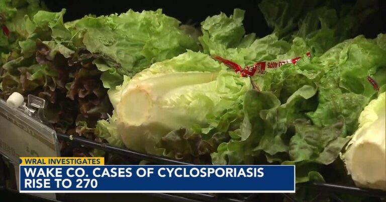 Diarrhea-causing bug reaches outbreak proportions in NC with 500+ cases