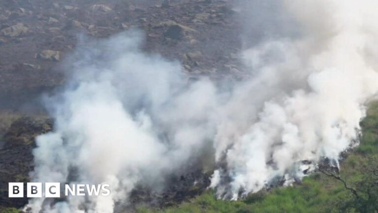 How does wildfire smoke affect your health? How does wildfire smoke affect your health?