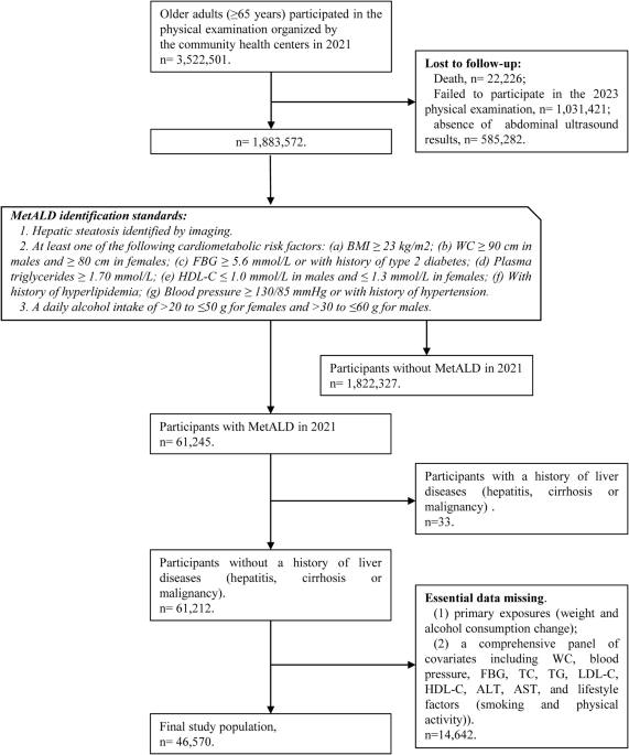 Weight loss and alcohol reduction synergize for hepatic steatosis remission in elderly patients with metabolic alcohol-associated liver disease (MetALD): a retrospective cohort study Weight loss and alcohol reduction synergize for hepatic steatosis remission in elderly patients with metabolic alcohol-associated liver disease (MetALD): a retrospective cohort study