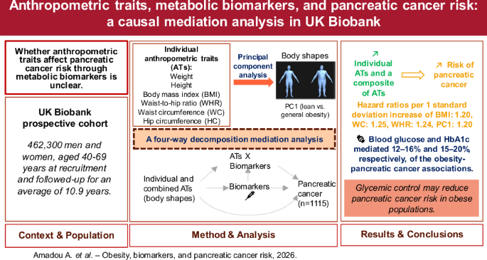 Anthropometric traits, metabolic biomarkers, and pancreatic cancer risk: a causal mediation analysis in UK Biobank Anthropometric traits, metabolic biomarkers, and pancreatic cancer risk: a causal mediation analysis in UK Biobank