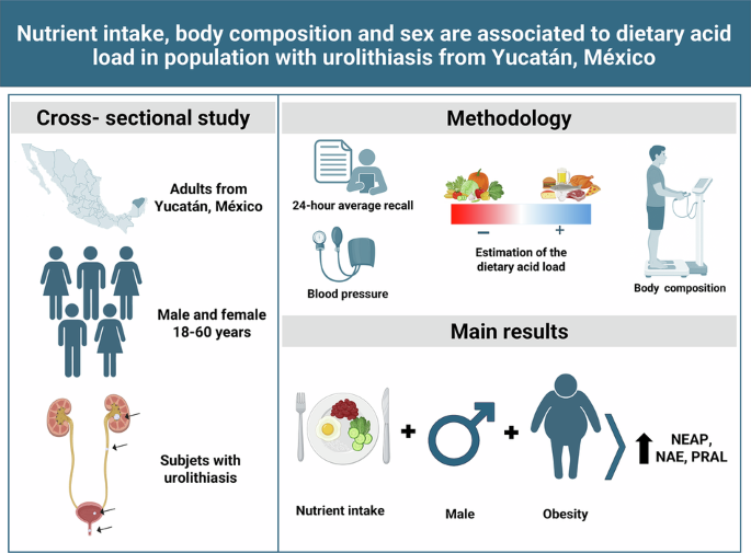 Dietary determinants of acid load in a population with urolithiasis from Yucatán, Mexico Dietary determinants of acid load in a population with urolithiasis from Yucatán, Mexico