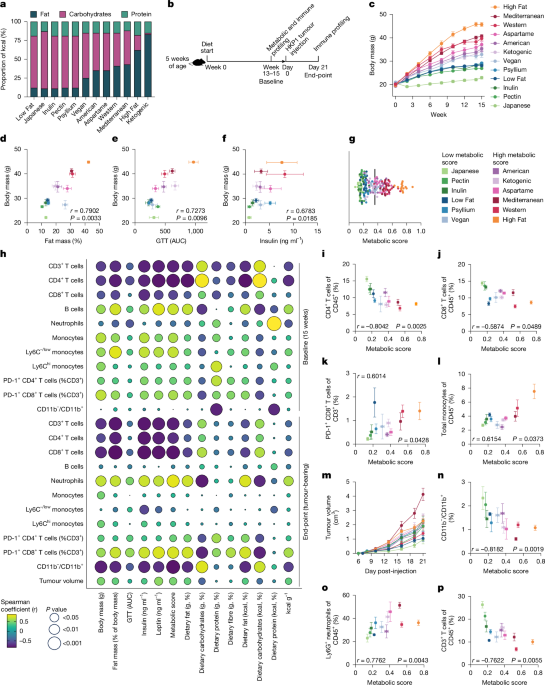 Diet–microbiome synergy underlies obesity-associated immunotherapy efficacy Diet–microbiome synergy underlies obesity-associated immunotherapy efficacy