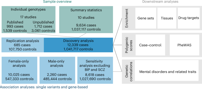 Genome-wide association analyses of borderline personality disorder identify 11 loci and highlight shared risk with mental and somatic disorders Genome-wide association analyses of borderline personality disorder identify 11 loci and highlight shared risk with mental and somatic disorders