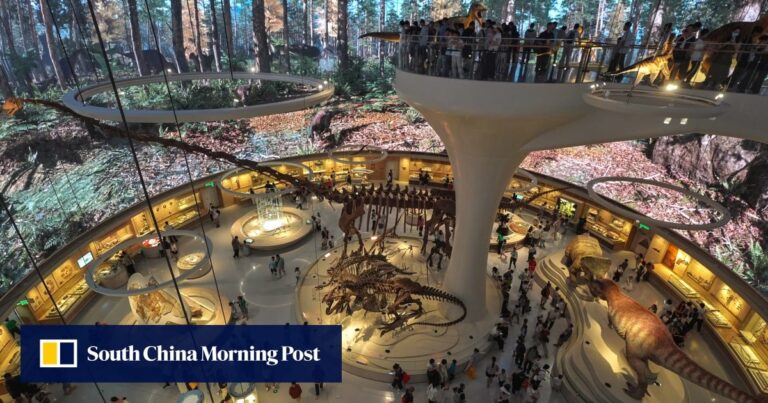 Shenzhen’s new museum; Hong Kong’s old cookbook exhibit: 7 Lifestyle highlights Shenzhen’s new museum; Hong Kong’s old cookbook exhibit: 7 Lifestyle highlights