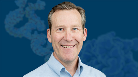 Studying how genomes stay intact