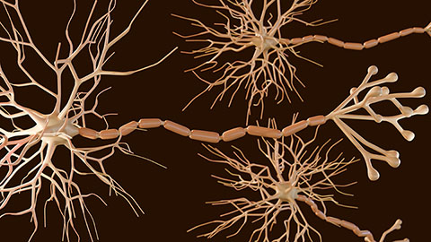 How radioactive implants worsen facial nerve injury