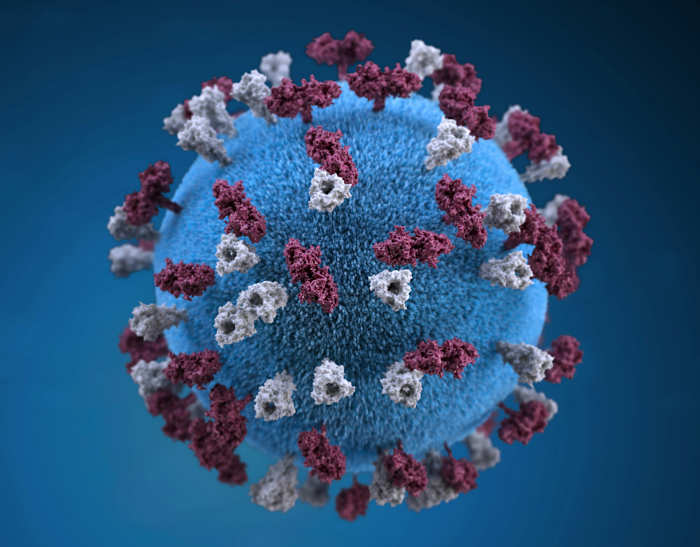 Texas health issues alert after 4 Montgomery County residents infected with measles Texas health issues alert after 4 Montgomery County residents infected with measles
