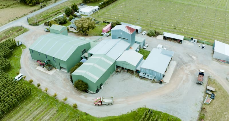 About five percent of Colin Oldham's 60 acre farm grows hop flowers for the dietary supplement Calocurb.