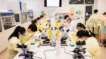 Science students do practical learning in a lab