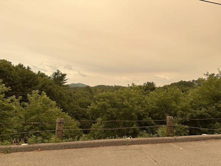 Wildfire smoke concerns students who exercise outside