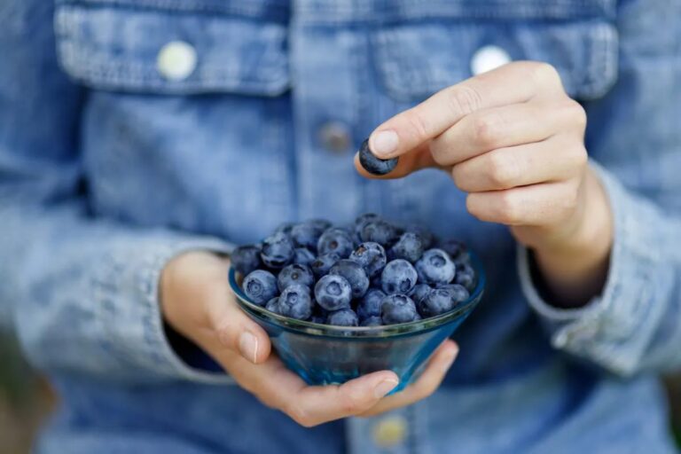 Polyphenol-rich diets may reduce dementia risk, study suggests