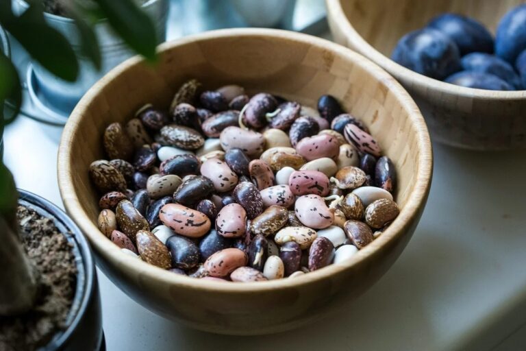 Plant-based whole food proteins blunt post Plant-based whole food proteins blunt post
