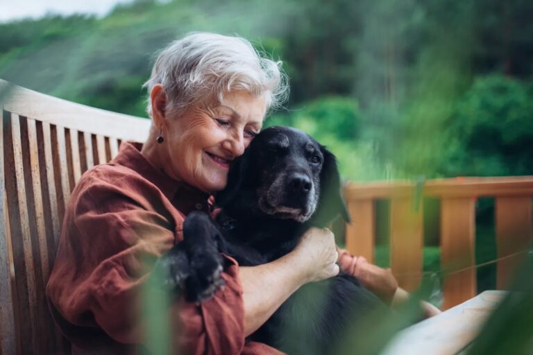 ADM finds China and Mexico lead global pet longevity nutrition demand ADM finds China and Mexico lead global pet longevity nutrition demand