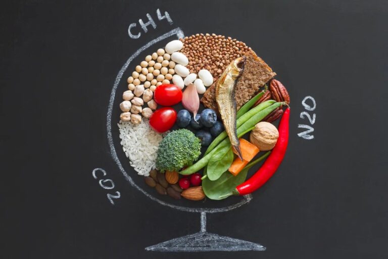 EAT-Lancet diet shift could cut global agriculture CO2 emissions 85% by 2050, researchers find