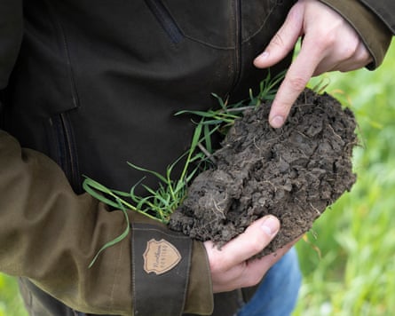 A farmer in Cambridgeshire points out soil health of a farm that follows regenerative agriculture practices.