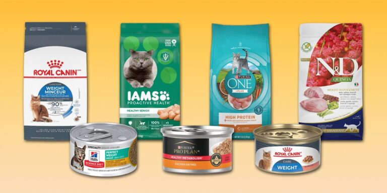 These weight loss foods can help cats slim down safely and are backed by vet advice These weight loss foods can help cats slim down safely and are backed by vet advice