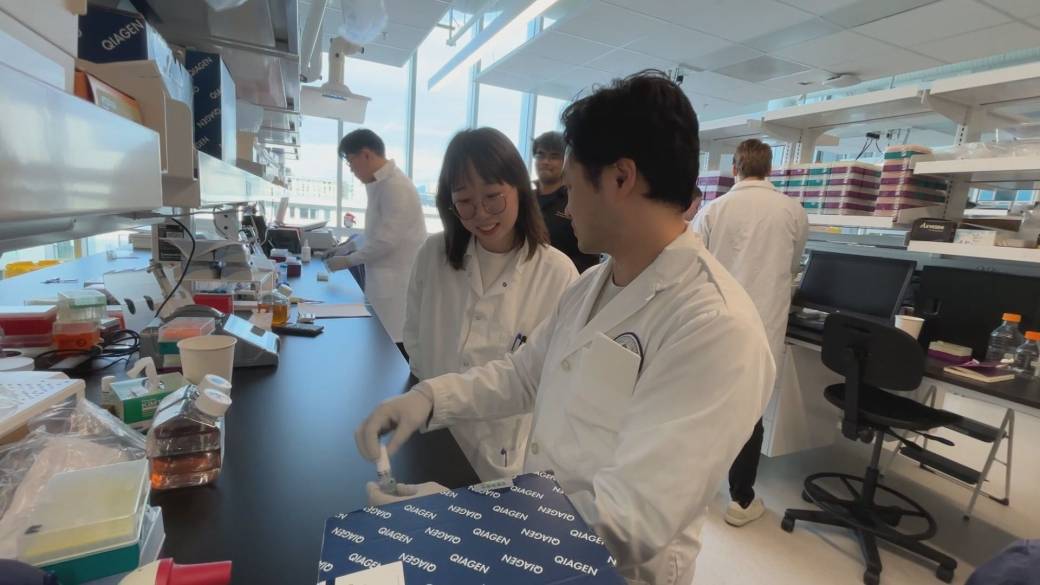 Click to play video: 'UBC researchers tout stem cell breakthrough'