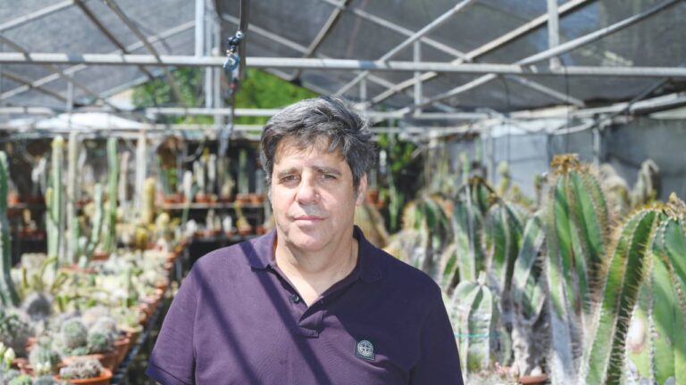 Climate change stripping nutrients from food, study with Israeli expert warns Climate change stripping nutrients from food, study with Israeli expert warns