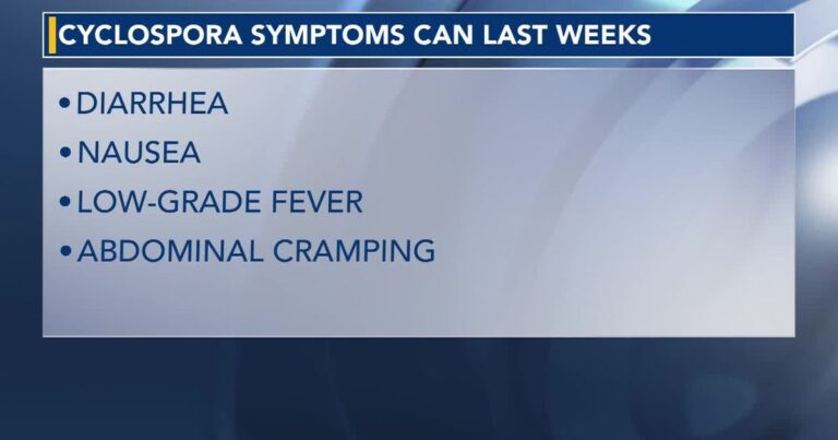 Explosive diarrhea surge raises worries about foodborne illness response and resources Explosive diarrhea surge raises worries about foodborne illness response and resources