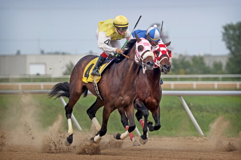072625.S.FF.HorseRacing