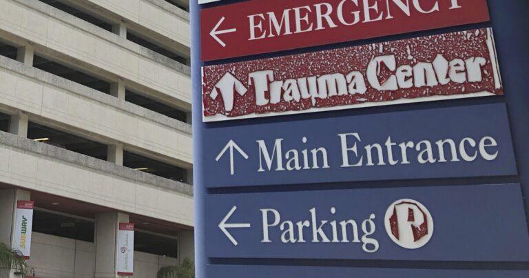 How the property tax amendment could reshape funding for Florida’s public hospitals How the property tax amendment could reshape funding for Florida's public hospitals