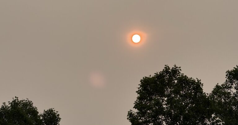 PHOTOS: Thick wildfire smoke blankets mid-Michigan, forces event cancellations and raises health concerns