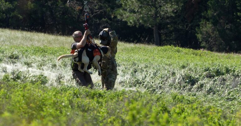 Montana Vet Program teams up with Guard, search-and Montana Vet Program teams up with Guard, search-and