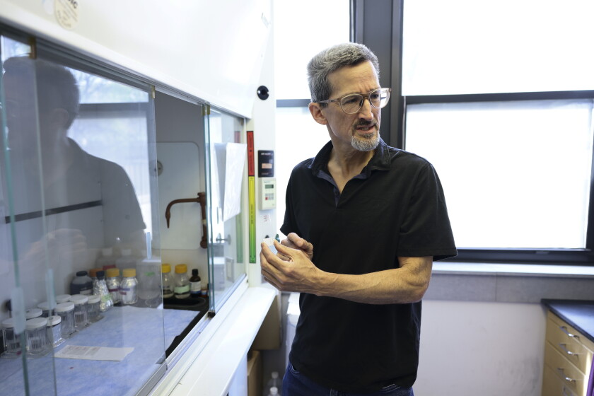 Timothy Koh, a professor of kinesiology and nutrition at the University of Illinois Chicago, in his lab at the UIC Department of Family and Community Medicine in 2025.