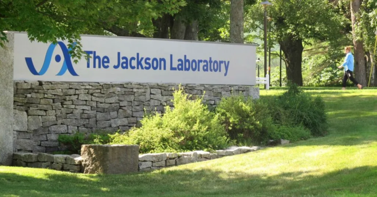Jackson Laboratory joins two other nonprofits to launch center to treat rare genetic diseases
