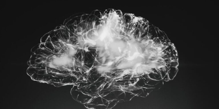 Virginia Tech research links obesity to faster brain aging, memory loss