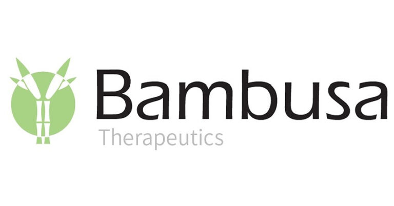 Bambusa Therapeutics Reports Potentially Transformative Preliminary Proof-of-Concept Results for BBT001 in Atopic Dermatitis, Reinforcing Its Best-in