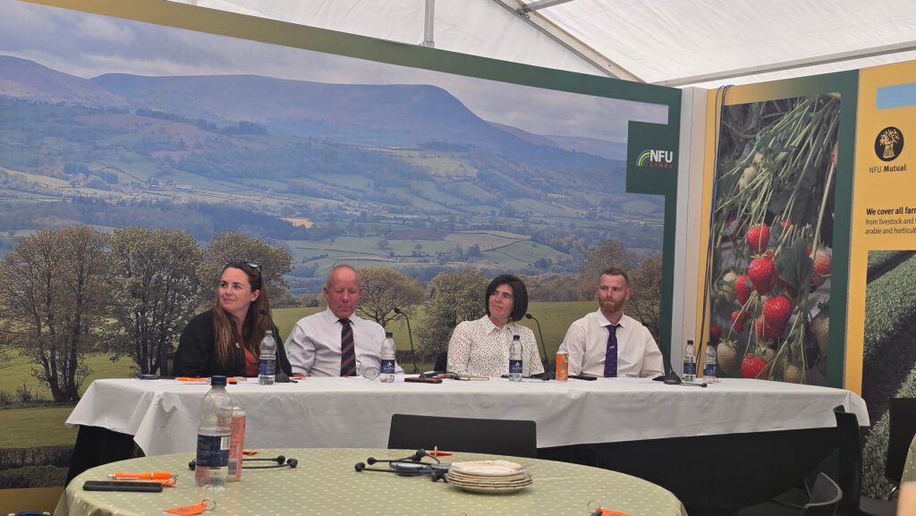 A panel of people