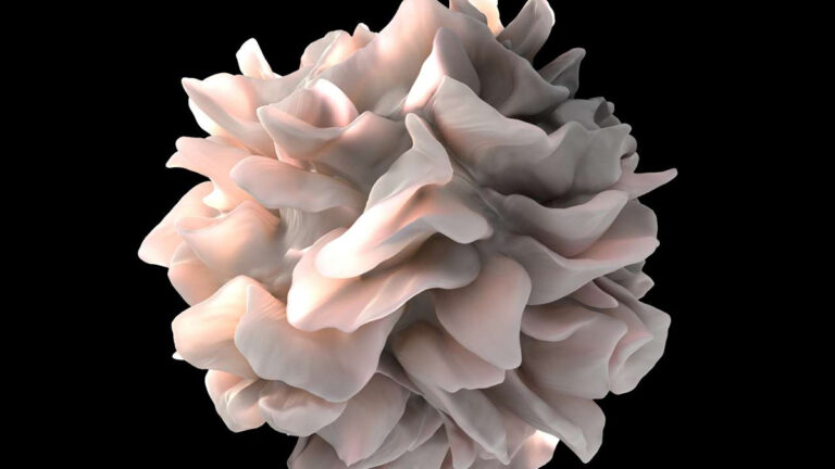 A Common Gym Supplement May Give Cancer